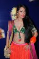 Actress Kashmira Shah Hot Spicy Pics