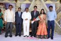 Kasi Viswanadham Son Wedding Reception Stills