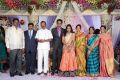 Kasi Viswanadham Son Wedding Reception Stills