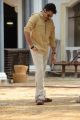Actor Pawan Kalyan in Katamarayudu New Stills HD
