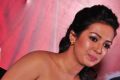 Catherine Tresa @ Kathakali Movie Team Press Meet Photos