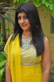 Actress Nisha @ Kathalukku Kannillai Movie Audio Launch Stills