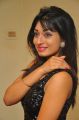 Actress Alisha Das @ Kathalukku Kannillai Movie Audio Launch Stills