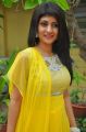 Actress Nisha @ Kathalukku Kannillai Movie Audio Launch Stills