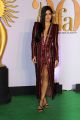 Actress Katrina Kaif @ IIFA Rocks 2019 Green Carpet Photos