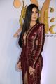 Actress Katrina Kaif @ IIFA Rocks 2019 Green Carpet Photos