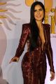 Actress Katrina Kaif Photos @ IIFA Rocks 2019 Green Carpet