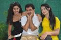 Katrina Karina Madhyalo Kamal Haasan Movie Opening Photos