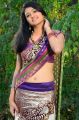 Telugu Actress Kousalya Hot Photos in Saree