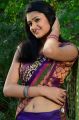 Telugu Actress Kausalya Hot in Saree Photos