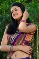 Telugu Actress Kausalya Hot Photos in Saree