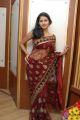 Telugu Actress Kausalya in Transparent Saree Hot Pics