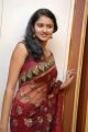 Telugu Actress Kausalya in Red Transparent Saree Hot Pics