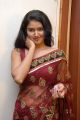 Telugu Actress Kausalya in Red Transparent Saree Hot Pics