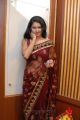 Telugu Heroine Kausalya in Red Transparent Saree Hot Pics