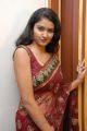 Actress Kausalya Hot Pics in Shimmer Faux Georgette Saree