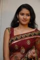 Actress Kausalya Hot Pics in Red Transparent Saree
