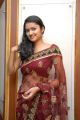 ute Actress Kausalya Hot Photos in Red Transparent Saree