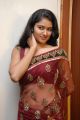 Actress Kausalya Hot Pics in Shimmer Faux Georgette Saree