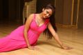 New Telugu Actress Kaveri Hot Photos