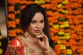 Actress Kavita Verma Diwali Photoshoot Stills