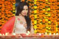Actress Kavita Verma Diwali Special Photoshoot Stills