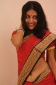 Kavitha Nair Hot in Saree Pics