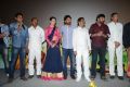 Kavvintha Movie Audio Launch Stills