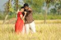 Diksha Panth in Kavvintha Telugu Movie Stills