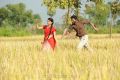 Diksha Panth in Kavvintha Telugu Movie Stills