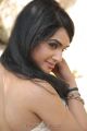 Actress Kavya Singh Hot Saree Latest Photos