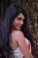 Telugu Actress Kavya Singh in Saree Hot Latest Photos