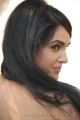 Actress Kavya Singh Hot Latest Photos in Saree