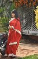 Actress Kavya Singh Hot Saree Latest Photos