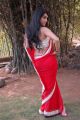 Actress Kavya Singh Hot in Red Saree Latest Photos