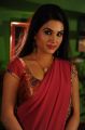 Kavya Singh Hot Stills in Dark Red Saree