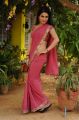 Actress Kavya Singh in Pink Georgette Saree Stills