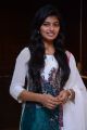 Actress Anandhi @ Kayal Movie Audio Launch Stills