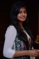 Actress Anandhi @ Kayal Movie Audio Launch Stills