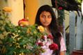 Actress Anandhi in Kayal Tamil Movie Stills