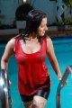 Keerthi Chawla Hot Swimsuit Stills