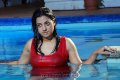 Keerthi Chawla Hot Swimsuit Stills