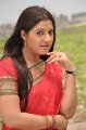 Keerthi Chawla Latest Saree Stills