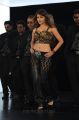 Actress Kesha Hot Stills in Shadow Movie Item Song