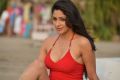 Actress Kesha Khambhati Hot Stills from Best Actors Movie
