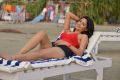 Best Actors Actress Kesha Khambhati Hot Stills