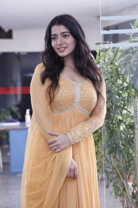 Ranga Ranga Vaibhavanga Movie Heroine Ketika Sharma Interview Pics