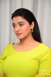 Actress Ketika Sharma in Green Yellow Dress Pics