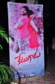 Ketugadu Movie Audio Launch Stills