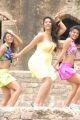 Kevvu Keka Heroine Sharmila Mandre New Hot Stills